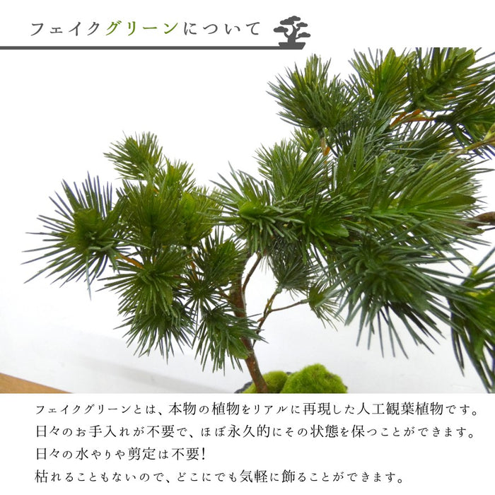 フェイクグリーン 造花盆栽 人工観葉植物 [松 吹き流し 苔盆] 黒陶器インテリアグリーン カップボン pr-18